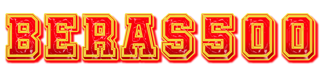 BERAS500